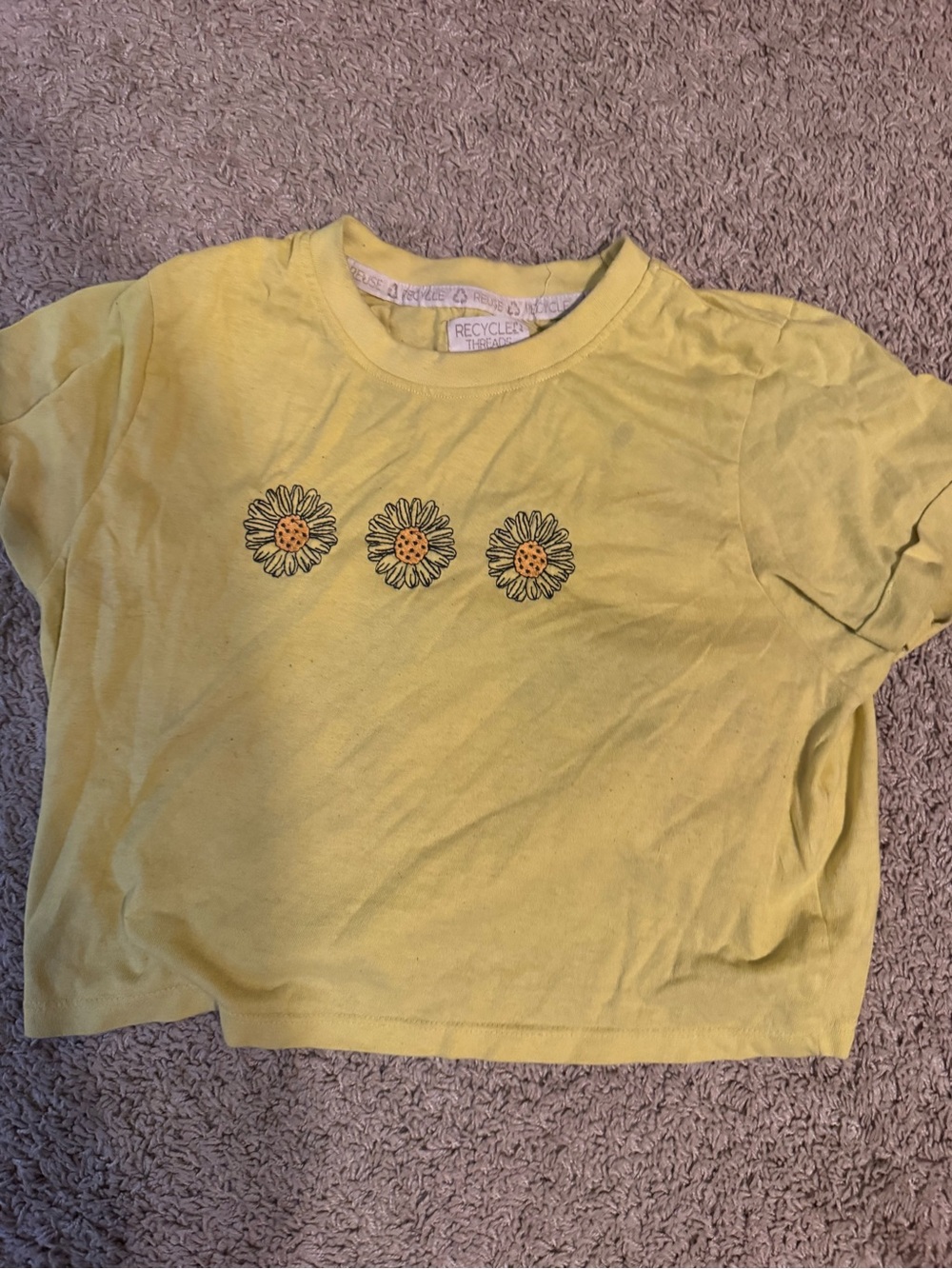 Recycle Threads Grand Canyon Graphic Crop Top T-Shirt Yellow XS